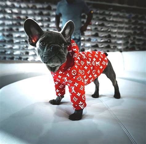 supreme lv puppy hoodie|supreme hoodie louis vuitton.